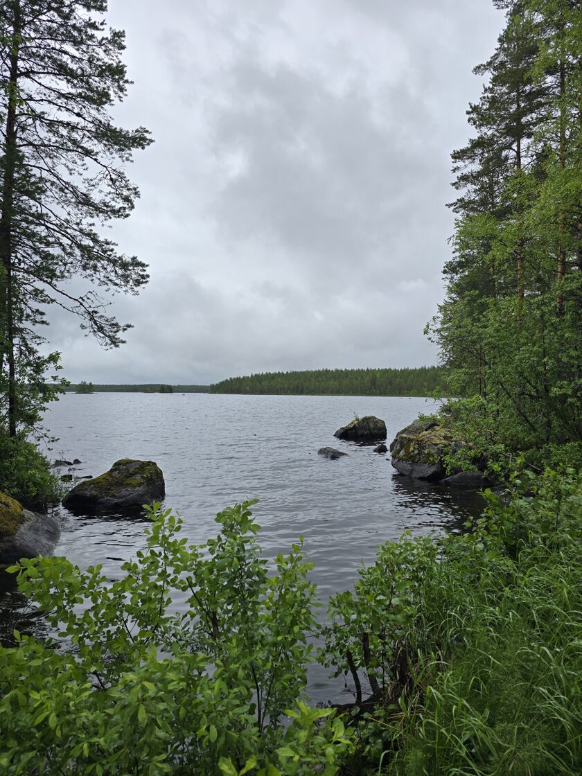 20250625_112317-1.jpg