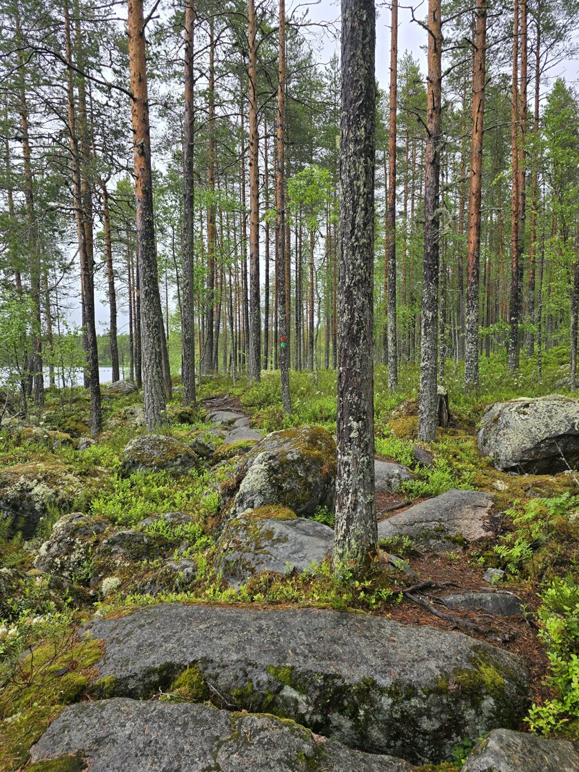 20250625_112651-1.jpg