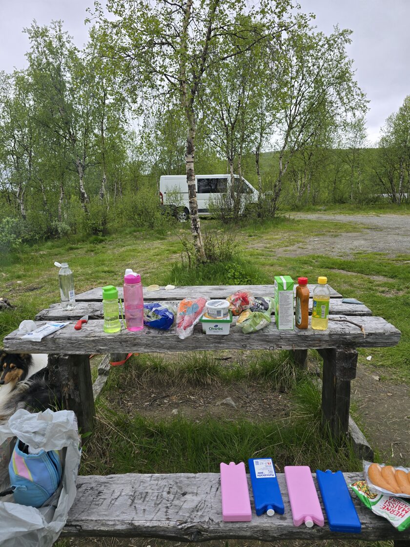 20250628_194918.jpg